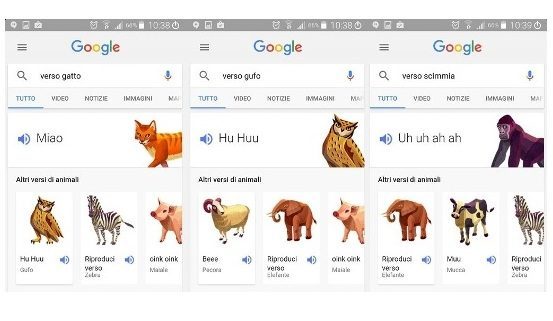 Google Search