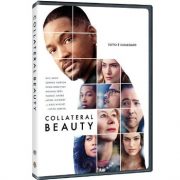 Riscopri Collateral Beauty e tutti gli altri titoli in Home Video dal 4 Maggio!