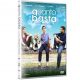 Quanto Basta - DVD Rental