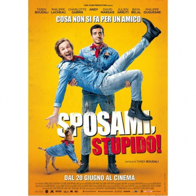 Sposami, Stupido!