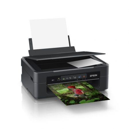 EPSON Stampante Multifunzione Home XP-255