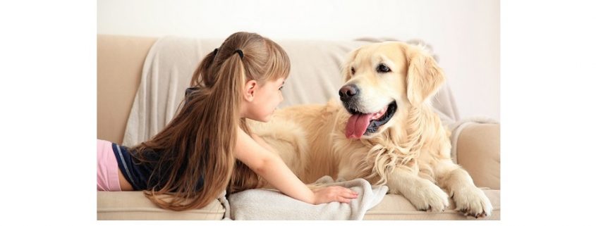 Evita falsi allarmi causati dagli animali domestici con i sensori pet-friendly